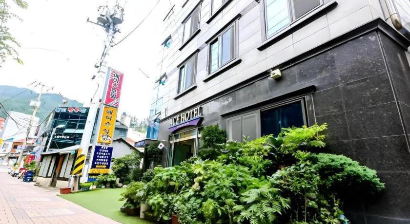 Ace Hotel Ulleung Exterior photo